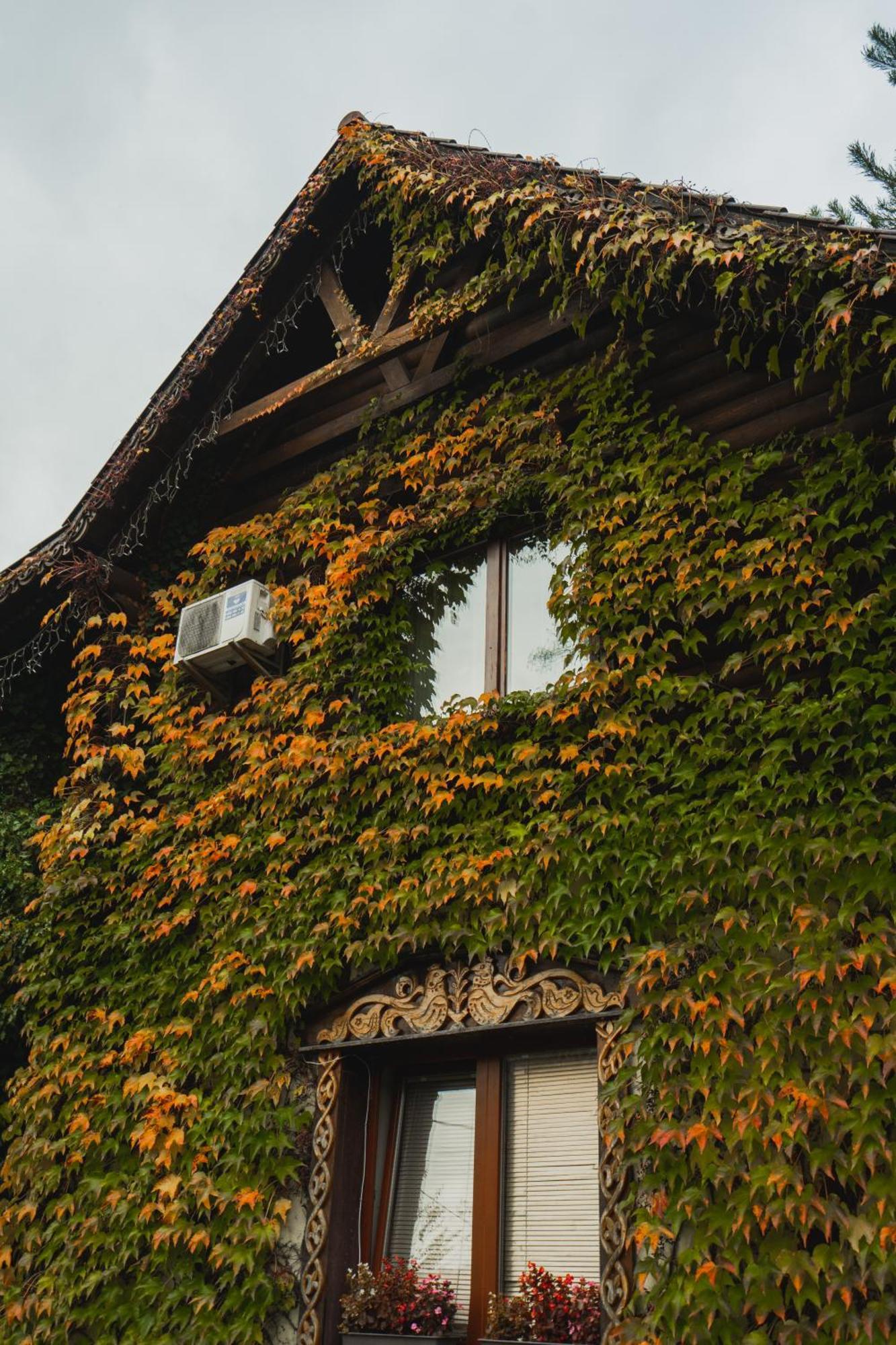 Villa Garden Hotel Királyfiszállás Kültér fotó