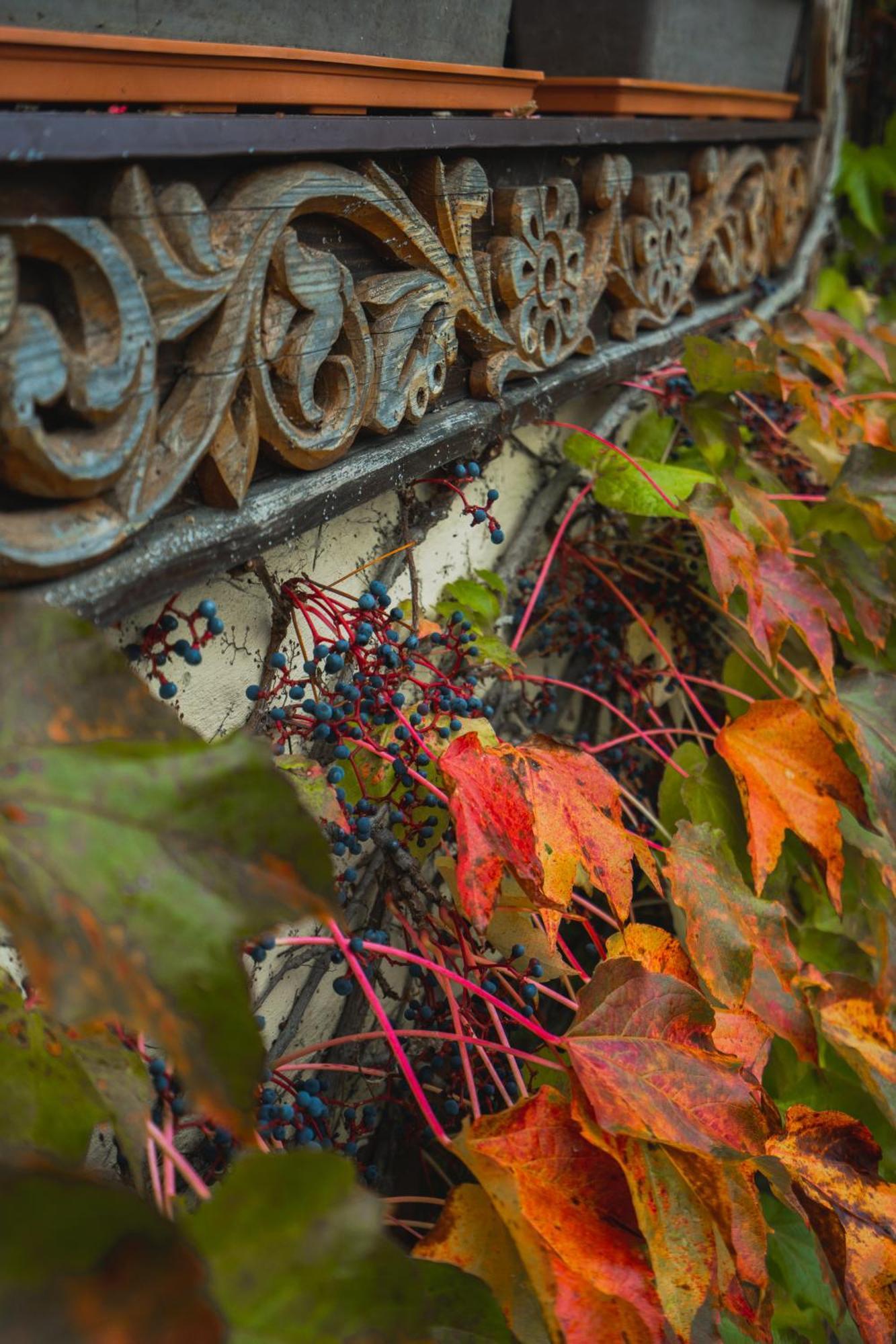 Villa Garden Hotel Királyfiszállás Kültér fotó